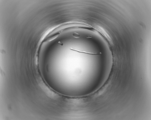 X0000091340900200708101441