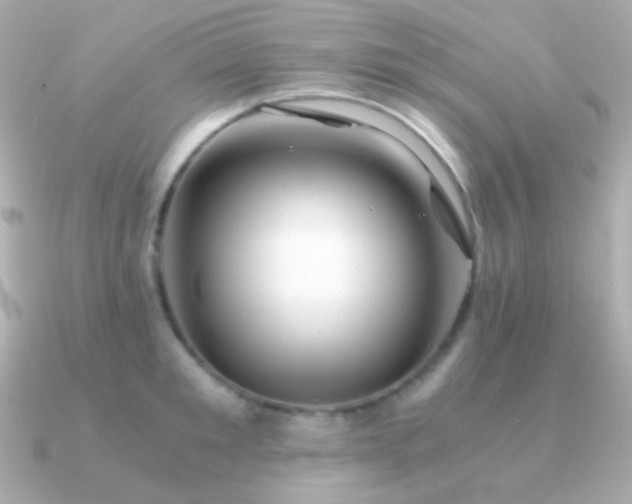 X0000091340901200708101441