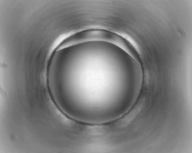 X0000091340902200708101441