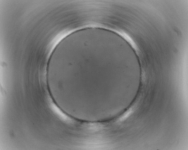 X0000091340903200708101441