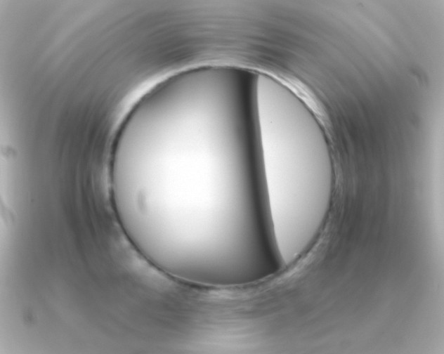 X0000091340904200708101441