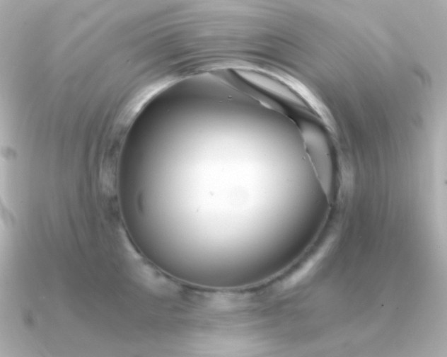 X0000091340905200708101441