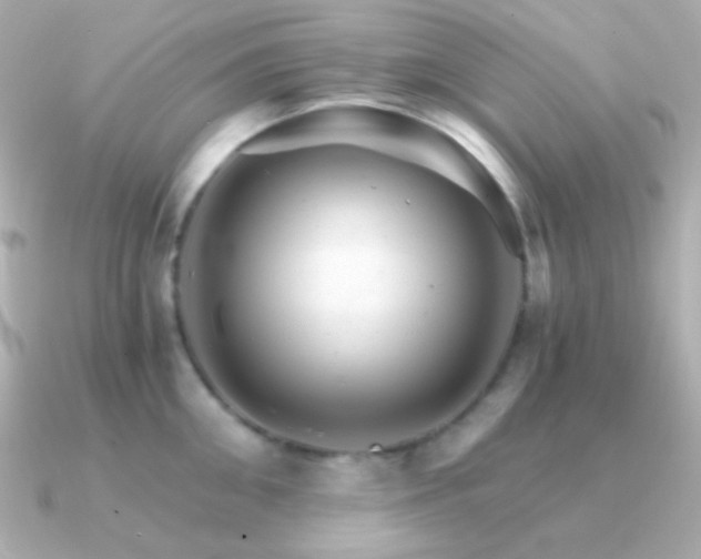 X0000091340906200708101441