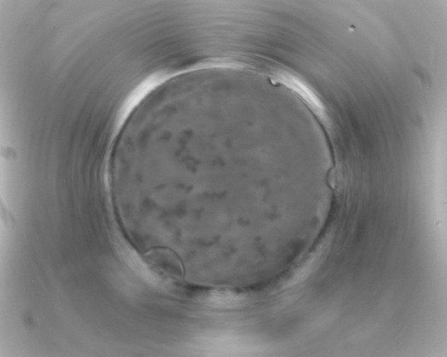 X0000091340907200708101441