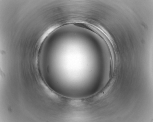 X0000091340909200708101441