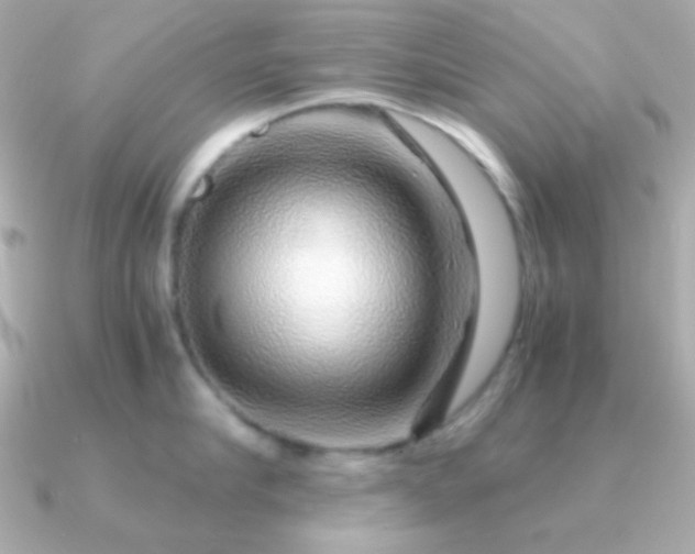 X0000091340910200708101441