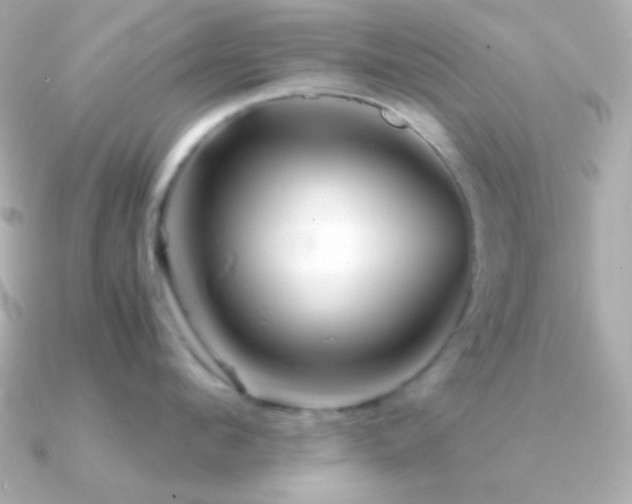 X0000091340912200708101441