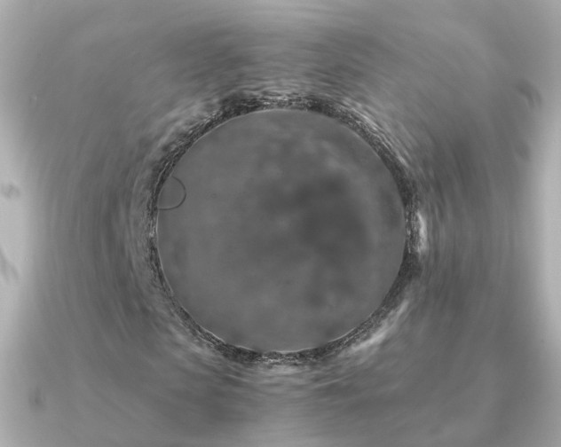 X0000091340913200708101441