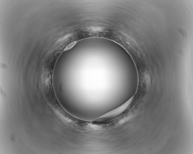 X0000091340914200708101441