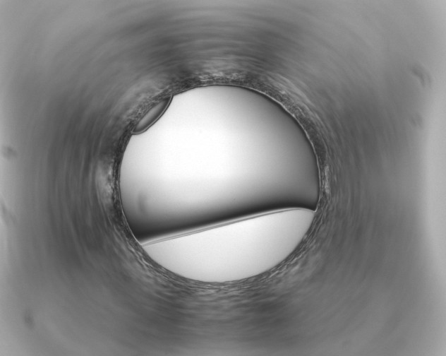 X0000091340915200708101441