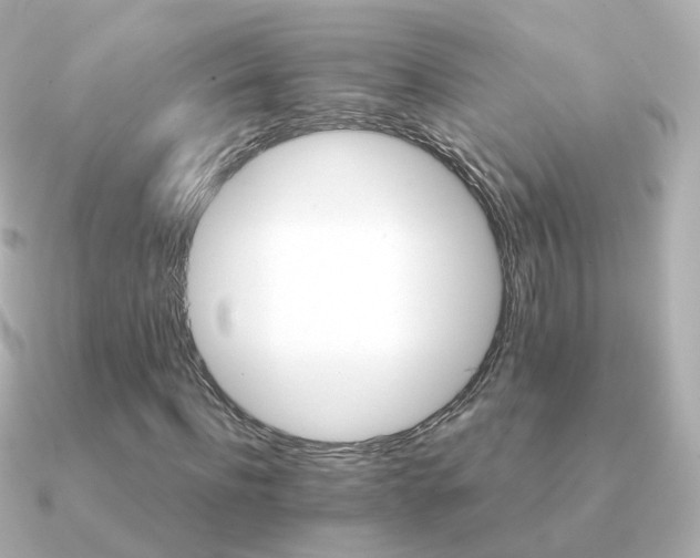 X0000091340916200708101441