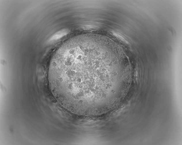 X0000091340917200708101441