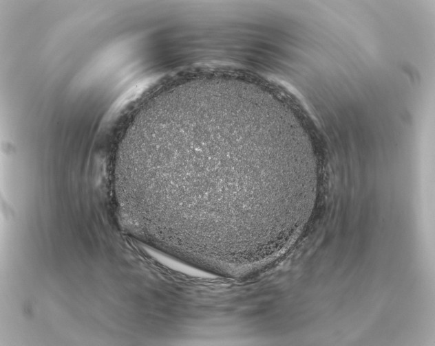 X0000091340919200708101441