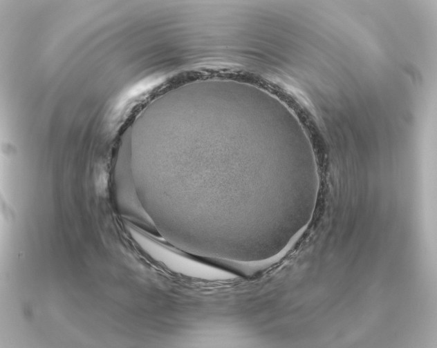 X0000091340920200708101441