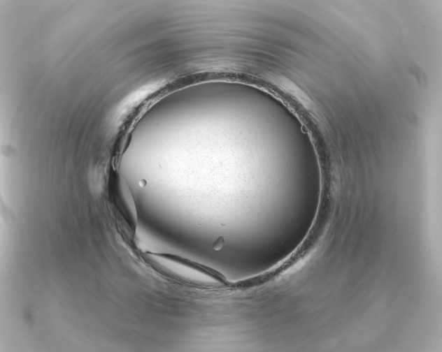 X0000091340922200708101441