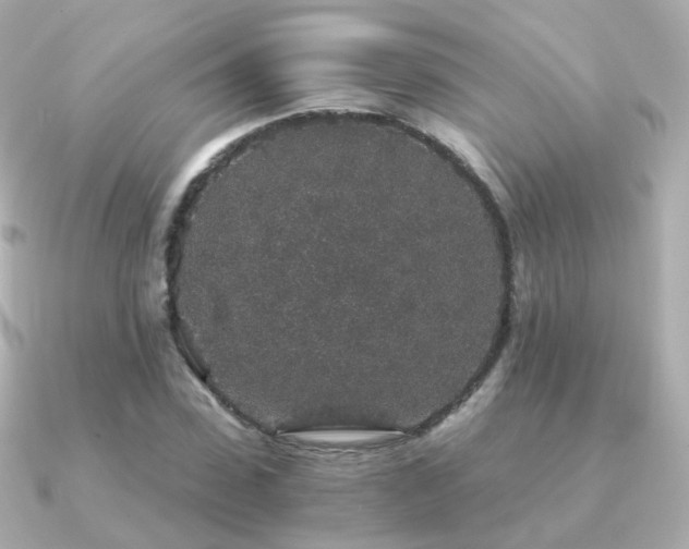 X0000091340923200708101441