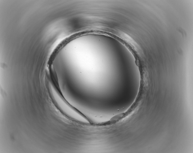 X0000091340924200708101441