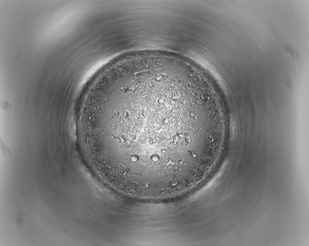 X0000091340925200708101441