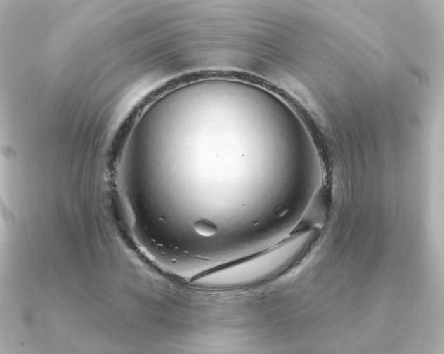 X0000091340926200708101441