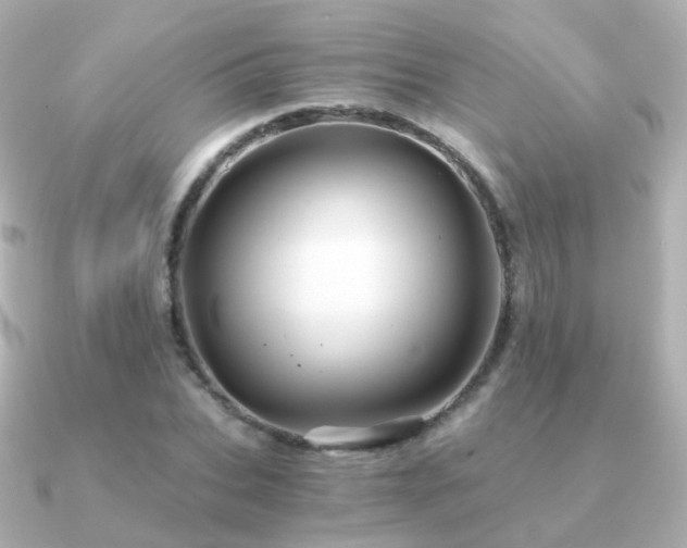 X0000091340927200708101441