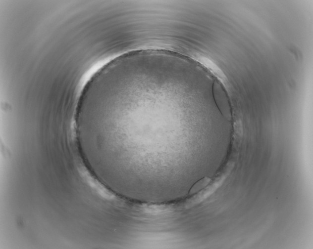 X0000091340928200708101441