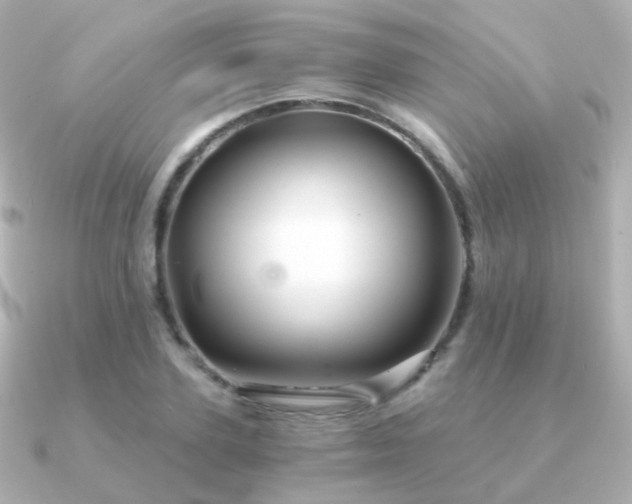 X0000091340931200708101441