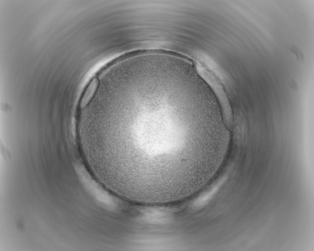 X0000091340932200708101441