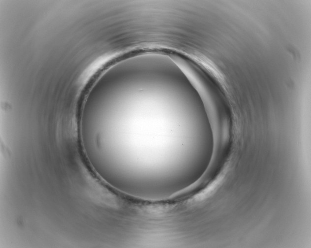 X0000091340934200708101441