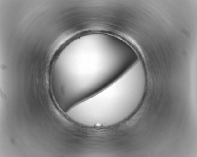 X0000091340935200708101441