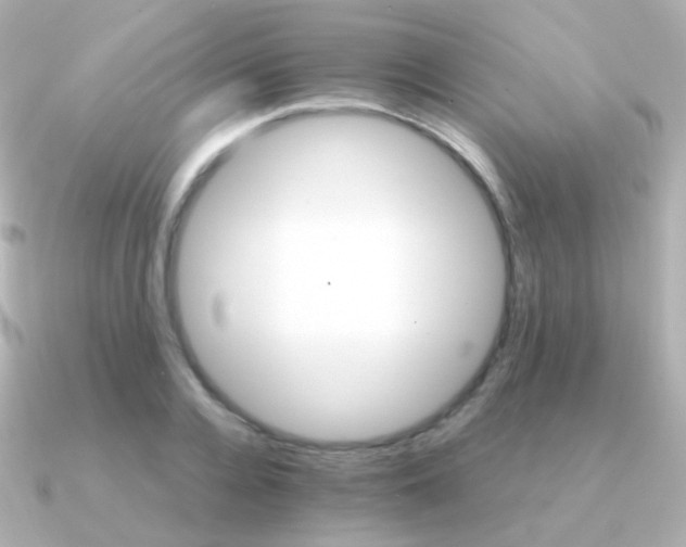 X0000091340936200708101441
