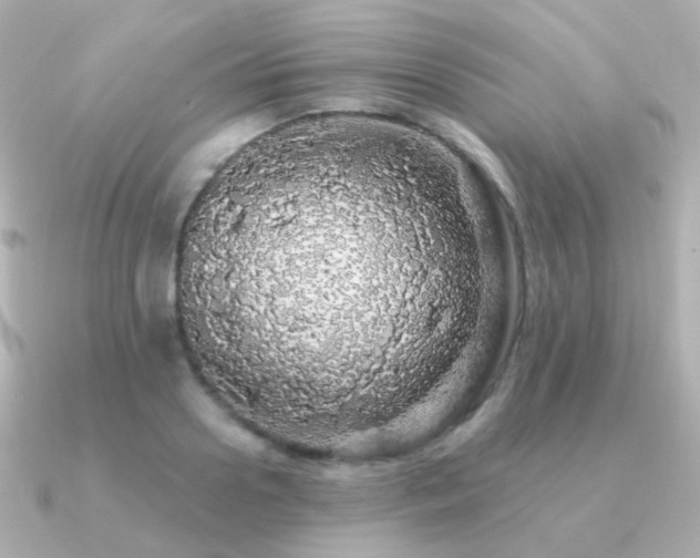 X0000091340938200708101441
