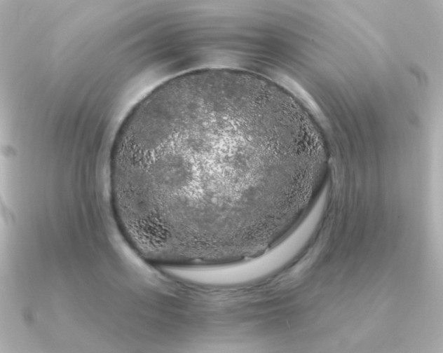 X0000091340939200708101441