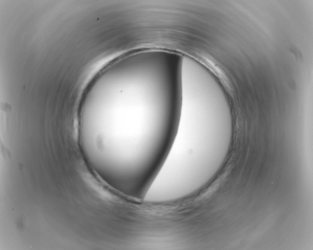 X0000091340940200708101441