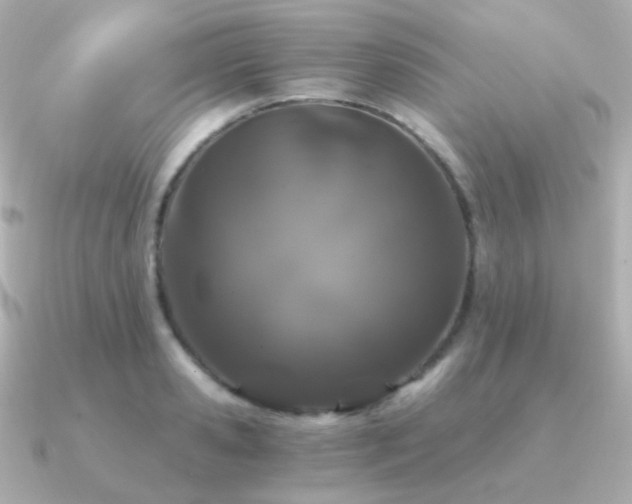 X0000091340941200708101441