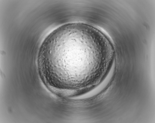 X0000091340943200708101441