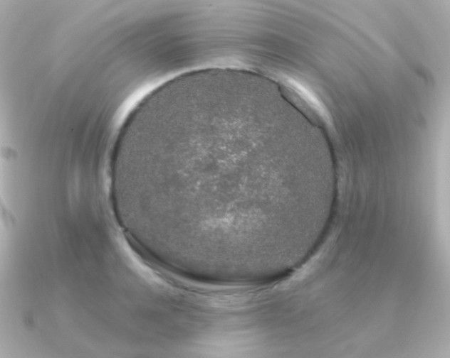 X0000091340944200708101441
