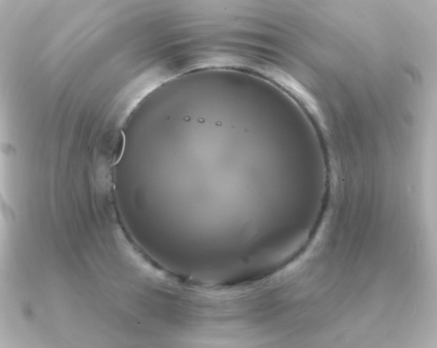 X0000091340945200708101441