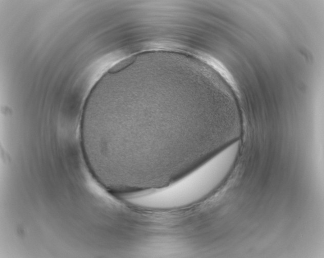 X0000091340946200708101441