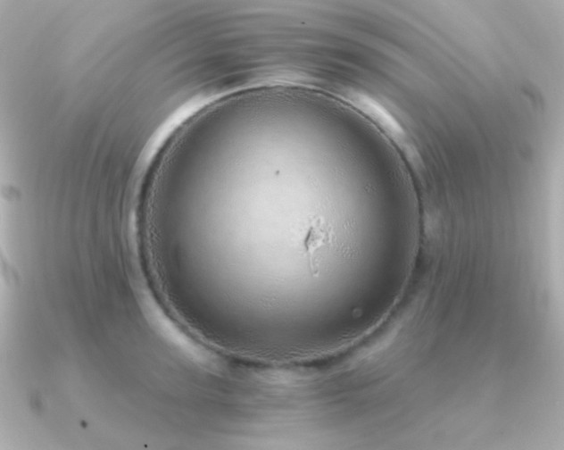 X0000091340947200708101441