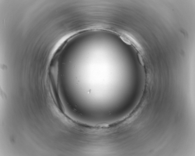 X0000091340948200708101441