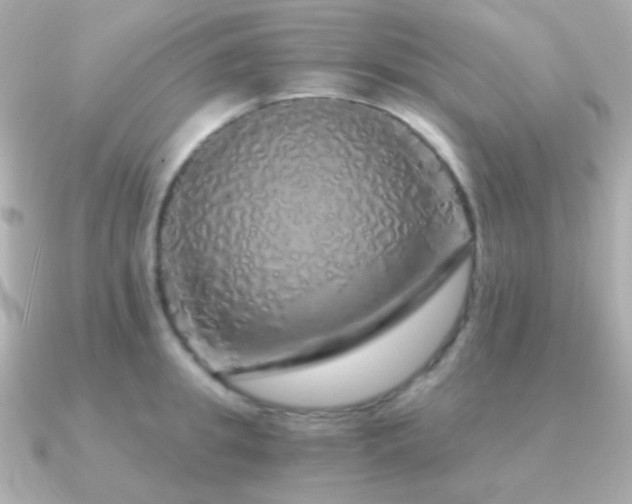 X0000091340949200708101441