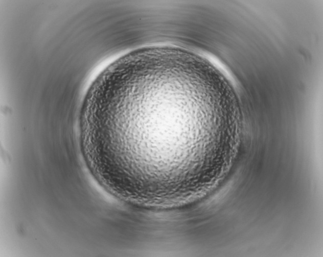 X0000091340951200708101441