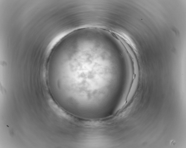 X0000091340952200708101441