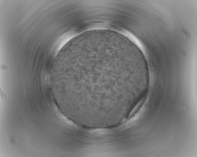 X0000091340953200708101441