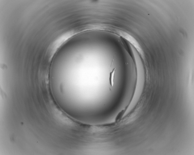 X0000091340954200708101441