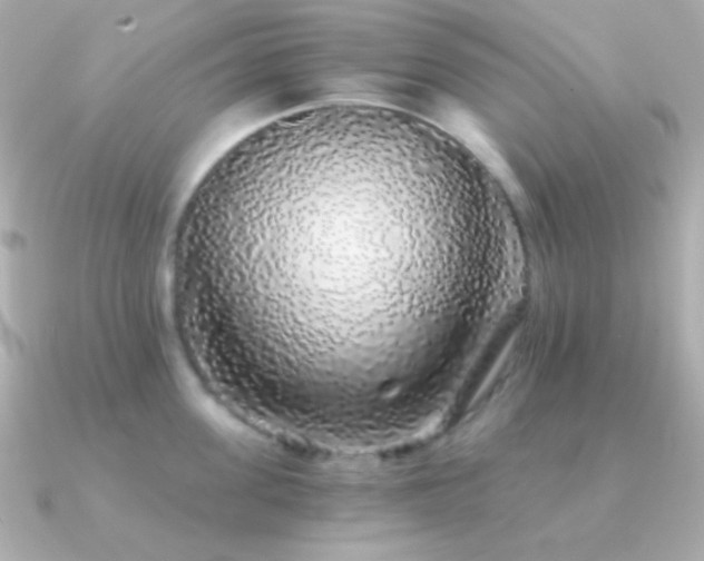 X0000091340955200708101441