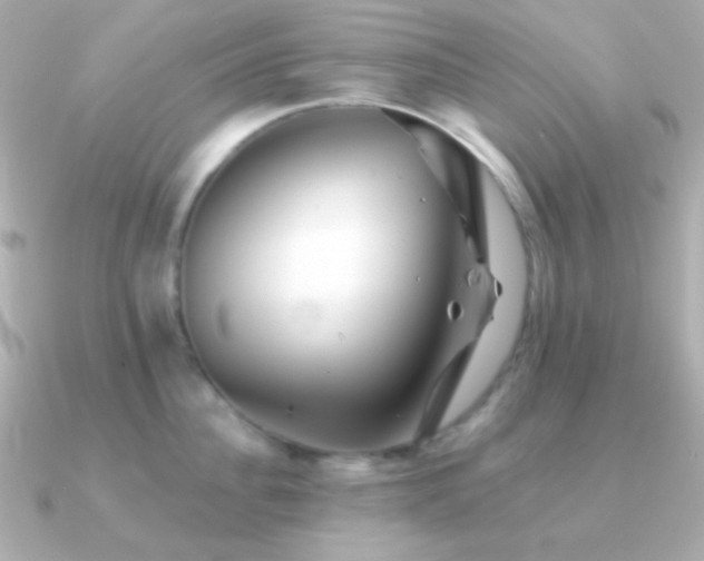 X0000091340956200708101441