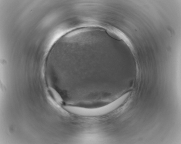 X0000091340958200708101441