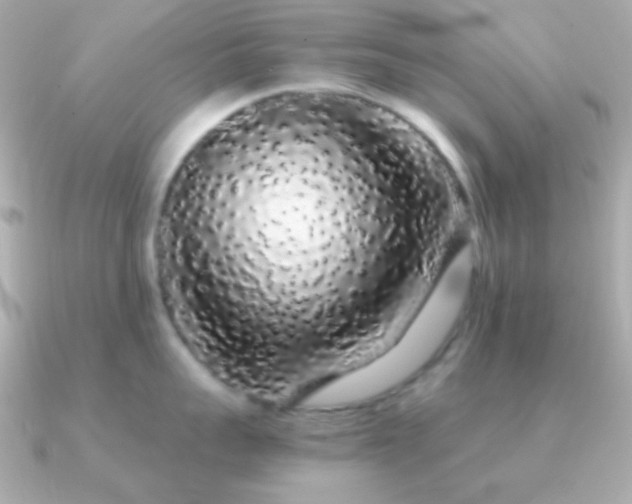 X0000091340959200708101441