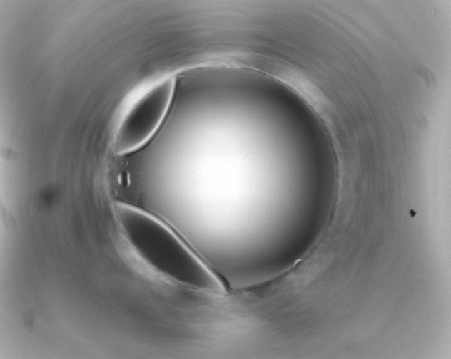 X0000091340960200708101441